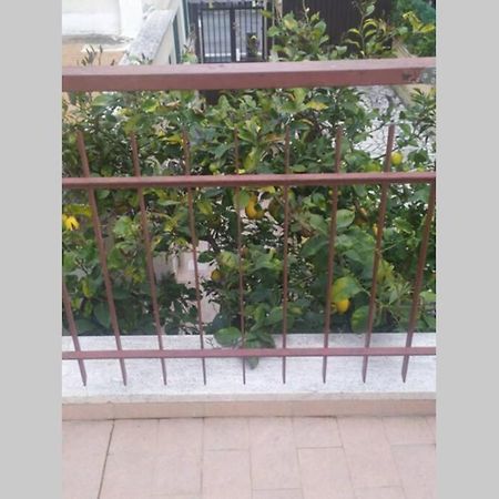 Appto Limone Lägenhet Lido di Ostia Exteriör bild