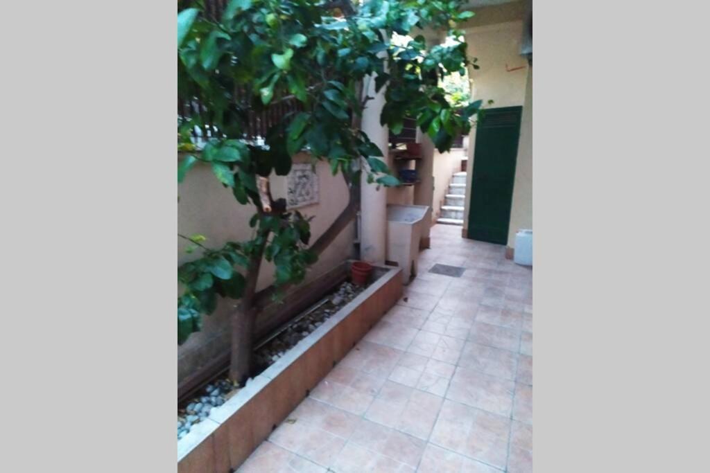 Appto Limone Lägenhet Lido di Ostia Exteriör bild